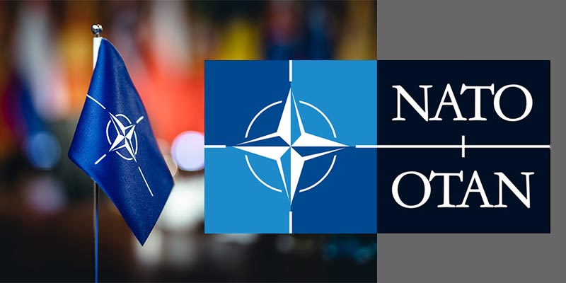NATO NSPA To Suspend Shipping Husbanding Companies